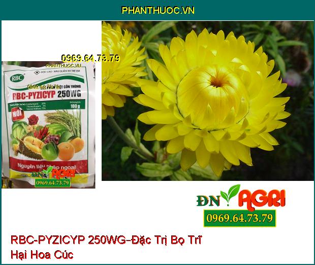 CHẾ PHẨM DIỆT CÔN TRÙNG RBC-PYZICYP 250WG –Đặc trị Các Loại Sâu, Các Loài Hút Chích