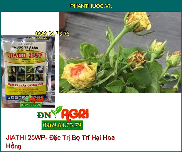 THUỐC TRỪ SÂU JIATHI 25WP- Đặc Trị Sâu Phổ Rộng, Rầy Chích Hút