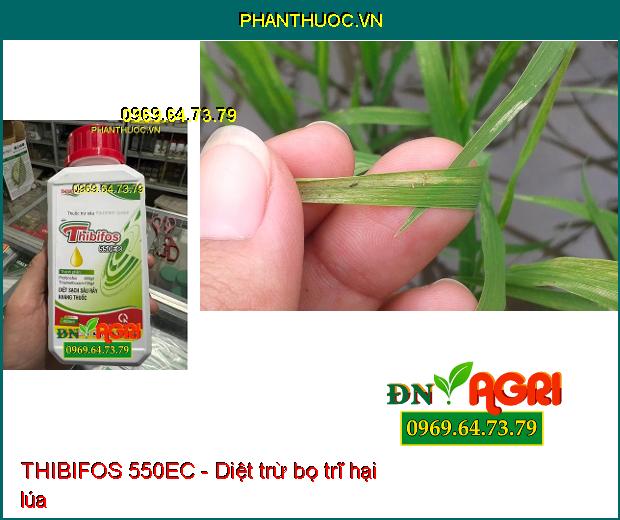 THIBIFOS 550EC - Diệt Trừ Rầy, Rệp, Sâu Chích Hút