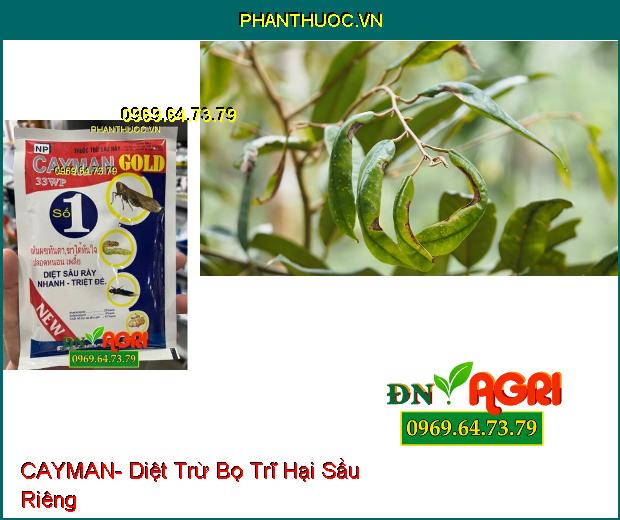 THUỐC TRỪ SÂU RẦY CAYMAN- Diệt Trừ Sâu, Bọ Trĩ, Rệp Sáp, Rầy Nâu Hại Lúa