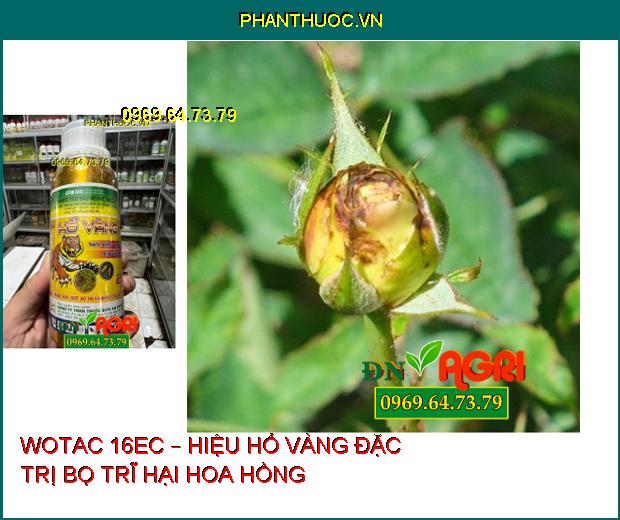 WOTAC 16EC – HIỆU HỔ VÀNG ĐẶC TRỊ RẦY, RỆP VÀ NHIỀU LOẠI NHỆN KHÁC