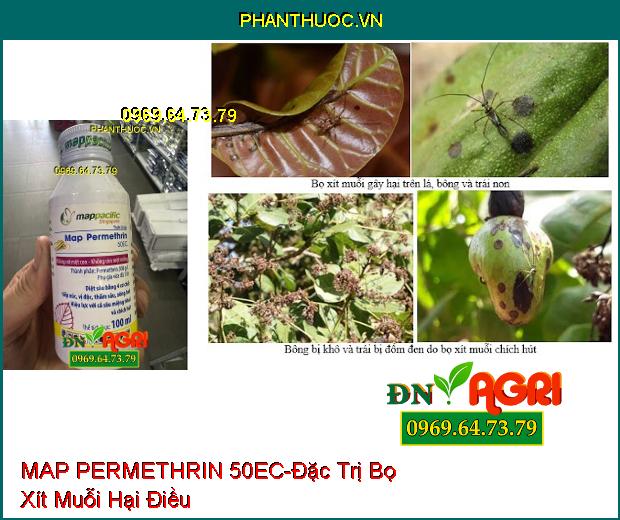 THUỐC TRỪ SÂU MAP PERMETHRIN 50EC- Đặc Trị Sâu Cuốn Lá, Rệp Sáp, Bọ Trĩ, Sâu Đục Quả