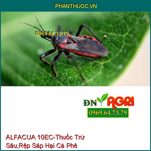 ALFACUA 10EC - Thuốc Trừ Sâu, Rệp Sáp Hại Cà Phê, Bọ Xít Muỗi, Sâu Khoang