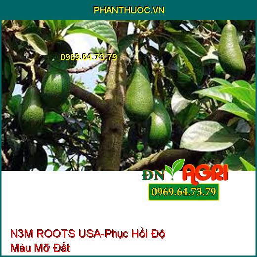 SIÊU RỄ N3M ROOTS USA –Phục Hồi Độ Màu Mỡ Đất, Tăng Sản Lượng