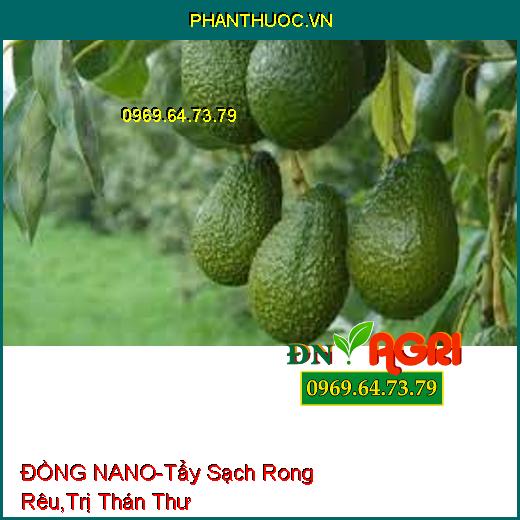 DUNG DỊCH ĐỒNG MAGIE ĐỒNG NANO-Tẩy Sạch Rong Rêu, Trị Thổi Ròng,Thán Thư