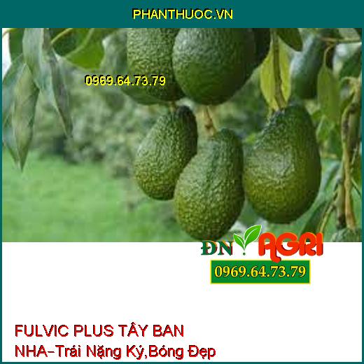 FULVIC PLUS TÂY BAN NHA –Hạn Chế Rong Rêu Trên Lá, Trái Nặng Ký, Bóng Đẹp