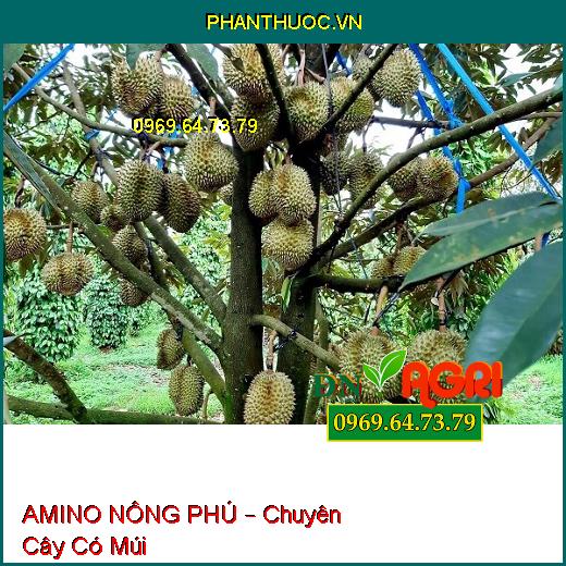 AMINO NÔNG PHÚ – Chuyên Cây Có Múi