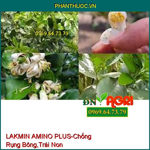 PHÂN BÓN LÁ TRUNG VI LƯỢNG LAKMIN AMINO PLUS – Chống Rụng Bông Và Trái Non