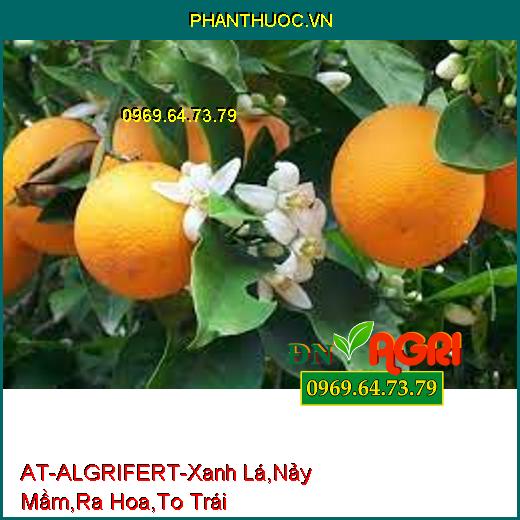 PHÂN BÓN LÁ NK SINH HỌC AT-ALGRIFERT-Xanh lá, Cây Khỏe, Nảy Mầm, Ra Hoa, To Trái