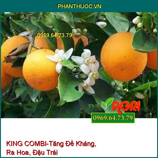 PHÂN BÓN TRUNG VI LƯỢNG KING COMBI-Tăng Đề Kháng, Giải Độc, Ra Hoa, Đậu Trái