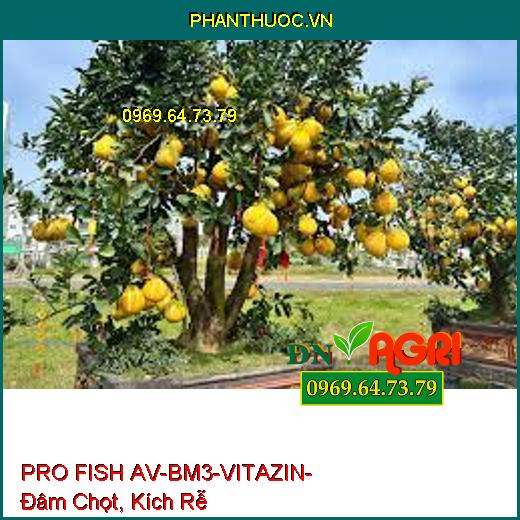 PRO FISH AV-BM3-VITAZIN- Đâm Chọt, Kích Rễ, Bóng Trái, Lớn Trái