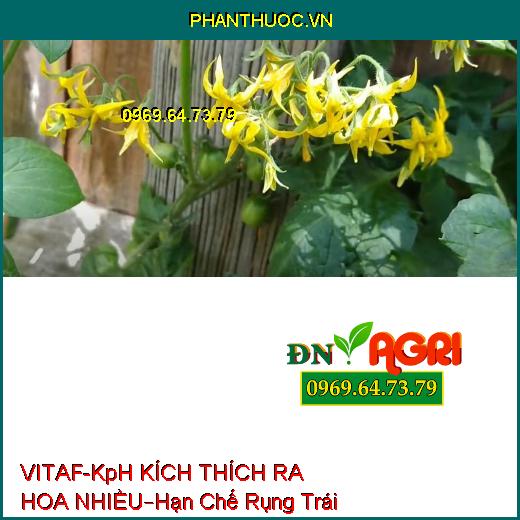 PHÂN BÓN LÁ VITAF-KpH KÍCH THÍCH RA HOA NHIỀU –Hạn Chế Rụng Trái, Màu Sắc Đẹp