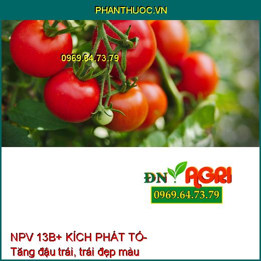 NPV 13B+ KÍCH PHÁT TỐ- Chống Nghẹn Hoa, Đen Hoa, Tăng Đậu Hoa, Đậu Trái