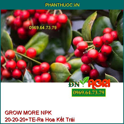 GROW MORE NPK 20-20-20+TE-Giúp Phân Hóa Mầm Hoa, Ra Hoa Kết Trái