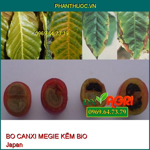 BO CANXI MEGIE KẼM BiO JaPan- Khắc Phục Cây Thiếu Kẽm, Bo, Đồng, Magie, Canxi