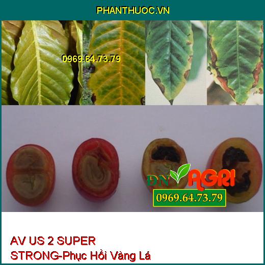 AV US 2 SUPER STRONG - Phục Hồi Vàng Lá, Kích Ra Hoa, Lớn Trái, Đẻ Nhánh