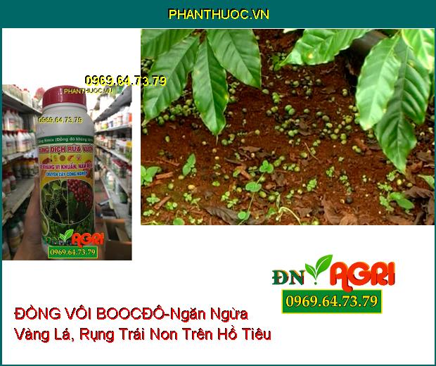 ĐỒNG BIMIX DUNG DỊCH ĐỒNG VÔI BOOCĐÔ-Ngăn Ngừa Vàng Lá, Tăng Năng Suất