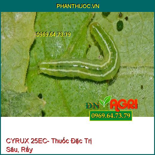 CYRUX 25EC- Thuốc Đặc Trị Sâu, Rầy