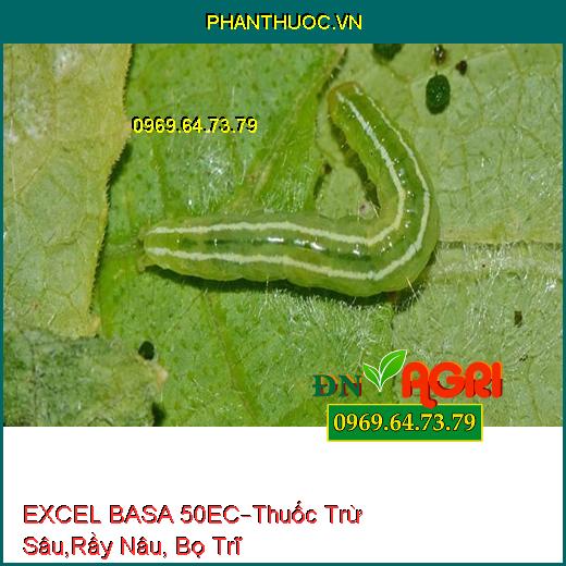 EXCEL BASA 50EC – Thuốc Trừ Sâu, Rầy Nâu, Bọ Trĩ, Rầy Cám Hại Lúa