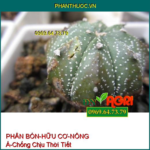 PHÂN BÓN LÁ RONG BIỂN – HỮU CƠ – NÔNG Á –Chống Chịu Thời Tiết, Tăng Đề Kháng