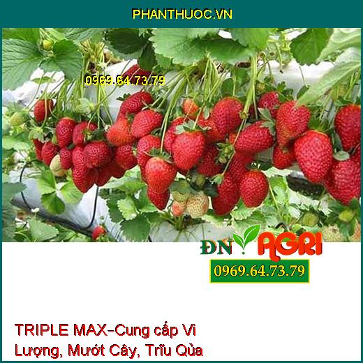 PHÂN BÓN LÁ HỮU CƠ KHOÁNG TRIPLE MAX –Cung cấp Vi Lượng, Mướt Cây, Trĩu Qủa