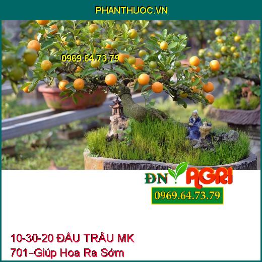 PHÂN BÓN LÁ NPK 10-30-20 ĐẦU TRÂU MK 701 –Giúp Hoa Ra Sớm, Hoa Đẹp, Lâu Tàn