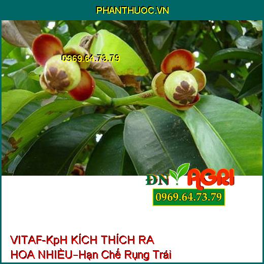 PHÂN BÓN LÁ VITAF-KpH KÍCH THÍCH RA HOA NHIỀU –Hạn Chế Rụng Trái, Màu Sắc Đẹp