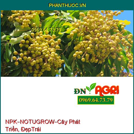 PHÂN BÓN NPK BỔ SUNG VI LƯỢNG – NOTUGROW –Cây Phát Triển Nhanh, Bóng Đẹp Trái