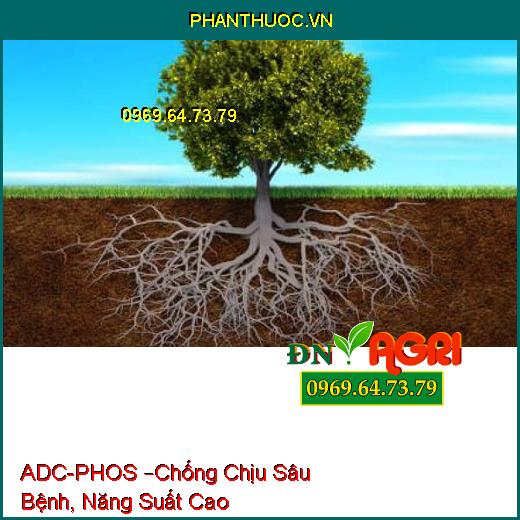 PHÂN BÓN LÁ PK BỔ SUNG VI LƯỢNG ADC-PHOS –Chống Chịu Sâu Bệnh, Năng Suất Cao