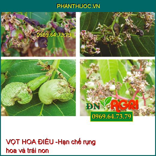 VỌT HOA ĐIỀU - Chuyên Vọt Hoa, Vọt Mầm, Ra Hoa Cực Mạnh