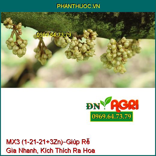 PHÂN BÓN LÁ HỖN HỢP NPK MX3 (1-21-21+3Zn) –Giúp Rễ Gìa Nhanh, Kích Thích Ra Hoa