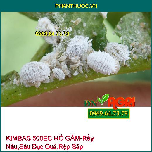 KIMBAS 500EC HỔ GẦM - Rầy Nâu, Sâu Đục Quả, Rệp Sáp, Nhện Đỏ, Sâu Cuốn Lá