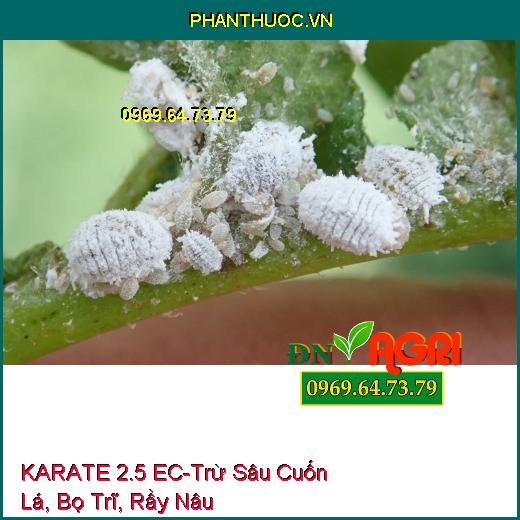 THUỐC TRỪ SÂU KARATE 2.5 EC – Trừ Sâu Cuốn Lá, Bọ Trĩ, Rầy Nâu, Bọ Xít Muỗi