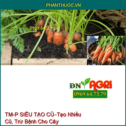 PHÂN BÓN LÁ CAO CẤP TM-P SIÊU TẠO CỦ KHOAI –Tạo Nhiều Củ, Hạn Chế Bệnh Cho Cây