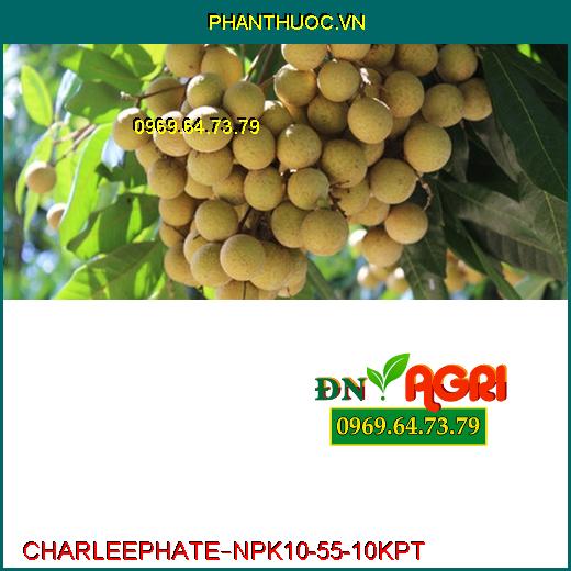 PHÂN BÓN LÁ CAO CẤP CHARLEEPHATE – NPK 10-55-10 KPT –Bung Chồi Cực