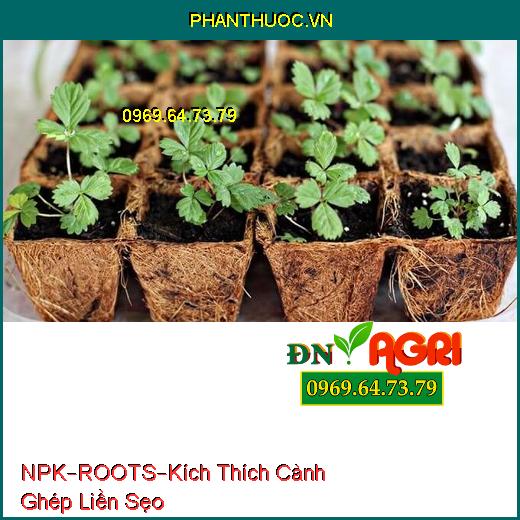 PHÂN BÓN HỖN HỢP NPK–ROOTS–Kích Thích Cành Ghép Liền Sẹo, Kích Thích Hạt Nảy Mầm