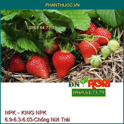 PHÂN BÓN HỖN HỢP NPK – KING NPK 6.9-6.3-6.03-Chống Nứt Trái, Tăng Năng Suất