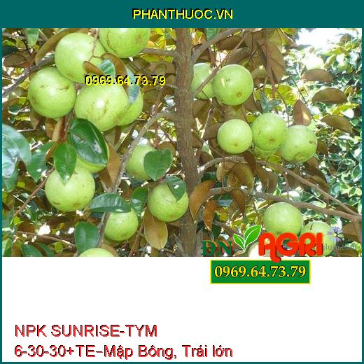 PHÂN BÓN NPK SUNRISE-TYM 6-30-30+TE – Tăng Sức Đề Kháng, Mập Bông, Trái lớn