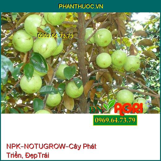 PHÂN BÓN NPK BỔ SUNG VI LƯỢNG – NOTUGROW –Cây Phát Triển Nhanh, Bóng Đẹp Trái