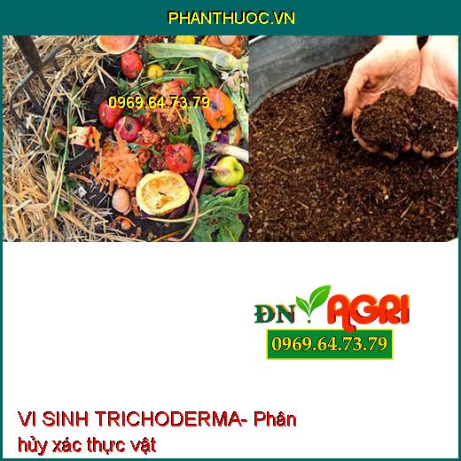 VI SINH TRICHODERMA- Cải Tạo Đất, Ngừa Tuyến Trùng, Giảm Ngộ Độc Khi Sử Dụng Phân Bón Hóa Học