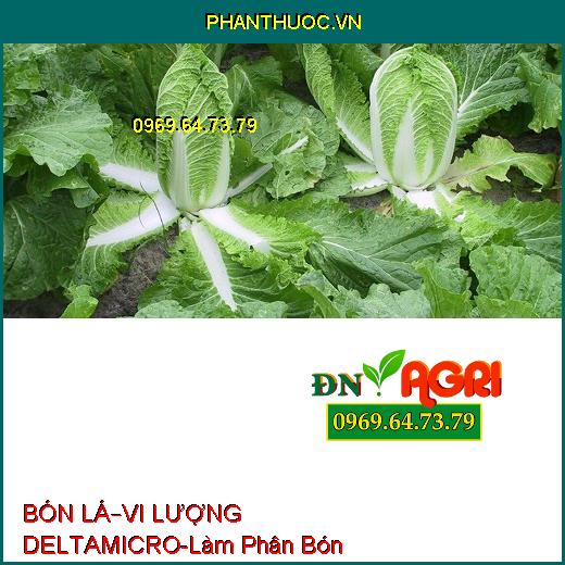 PHÂN BÓN LÁ TRUNG – VI LƯỢNG DELTAMICRO-Làm Phân Bón Qua Lá, Tăng Phát Triển