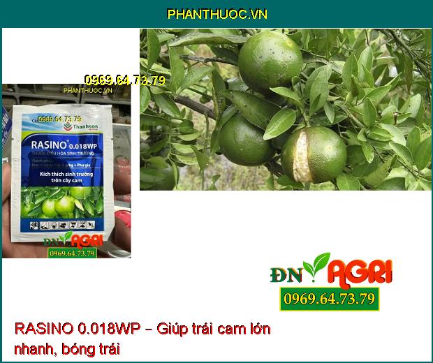 RASINO 0.018WP – Thuốc Điều Hòa Sinh Trưởng Trên Cây Cam