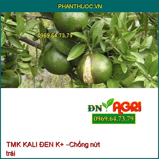 PHÂN ĐA LƯỢNG BÓN LÁ TMK KALI ĐEN K+ – Đòng To Khỏe, To Trái, Đẹp Trái