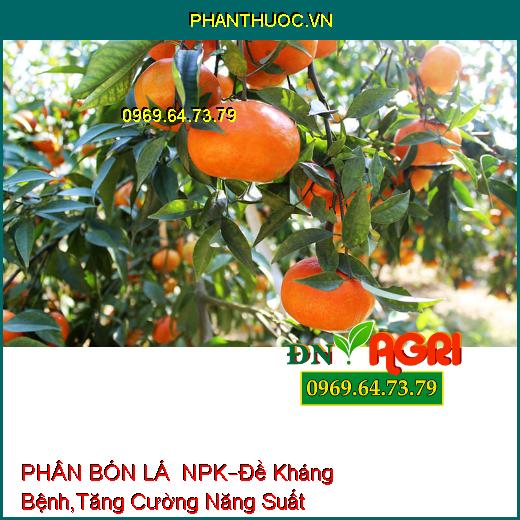 PHÂN BÓN LÁ HỖN HỢP NPK –Đề Kháng Bệnh, Tăng Cường Năng Suất , Chất Lượng