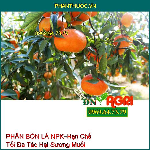 PHÂN BÓN LÁ NPK SINH HỌC –Hạn Chế Tối Đa Tác Hại Sương Muối, Hạt Lớn Đồng Đều