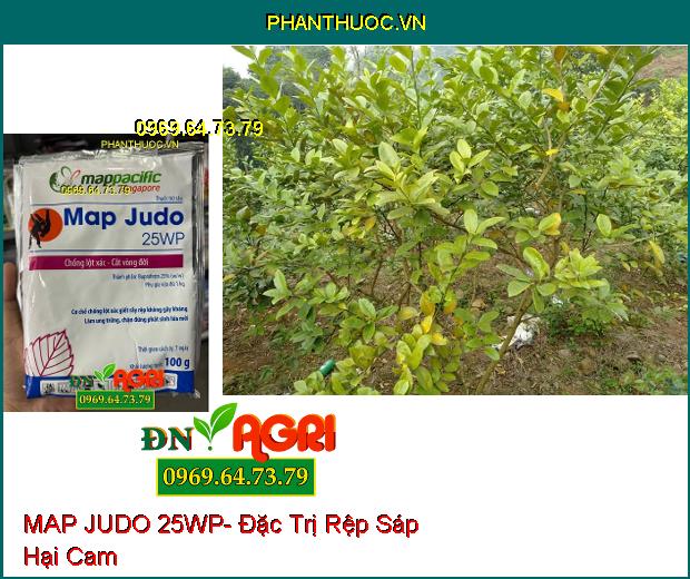 THUỐC TRỪ SÂU MAP JUDO 25WP- Trị Rệp Sáp, Rầy Nâu