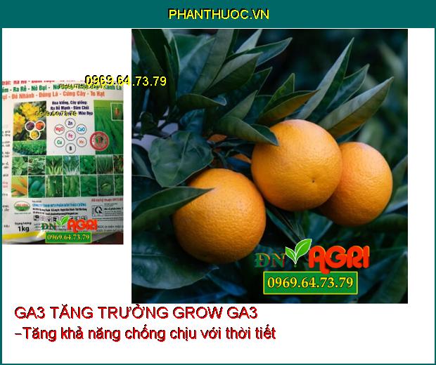 PHÂN BÓN VI LƯỢNG GA3 TĂNG TRƯỞNG GROW GA3 –Đâm Chồi Nhanh, Chống Vàng Lá