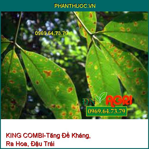 PHÂN BÓN TRUNG VI LƯỢNG KING COMBI-Tăng Đề Kháng, Giải Độc, Ra Hoa, Đậu Trái