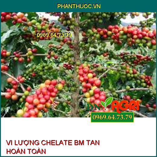 VI LƯỢNG CHELATE BM TAN HOÀN TOÀN-Phục Hồi Cây, Giảm Rụng Lá, Rụng Trái Non