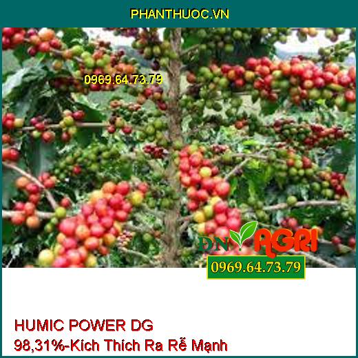 HUMIC POWER DG 98,31%- Phân Bón Hữu Cơ Kích Thích Ra Rễ Cực Mạnh